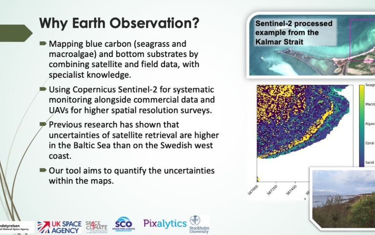 Why Earth observation?