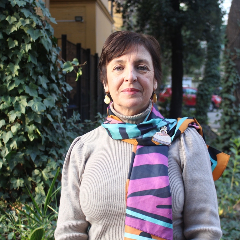 Alicia Noemí Salomone, Universidad de Chile