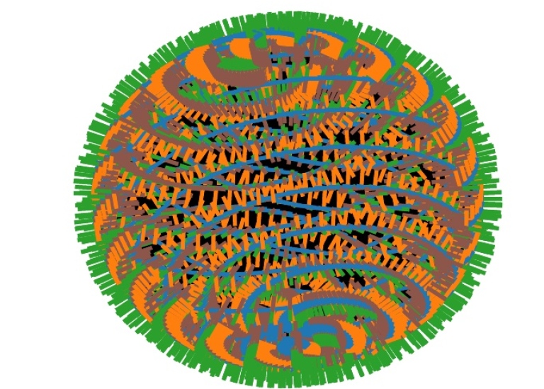 Green round figure with "straw edge", orange figures and blue lines, in a mix.