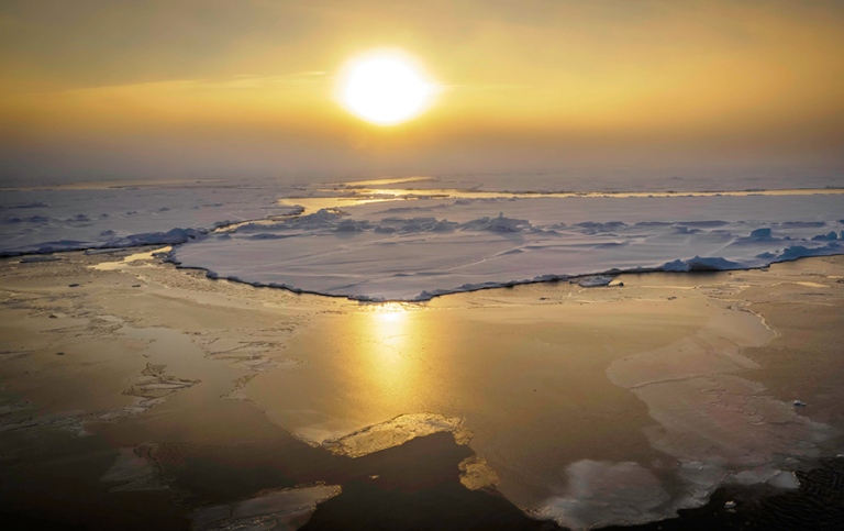 Sun, yellow sky, reflecting in the water and in new ice forming.