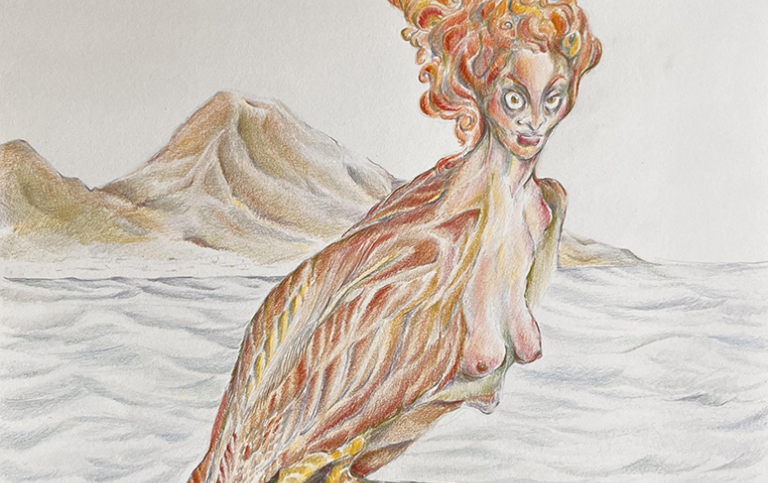 An antropomorphic bird sit on a rock by the sea. Ilustration_Jostein Eidskrem