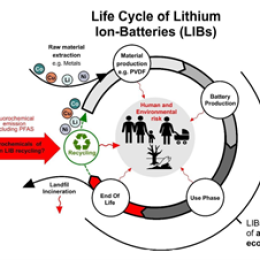 Life Cycle of LIBs