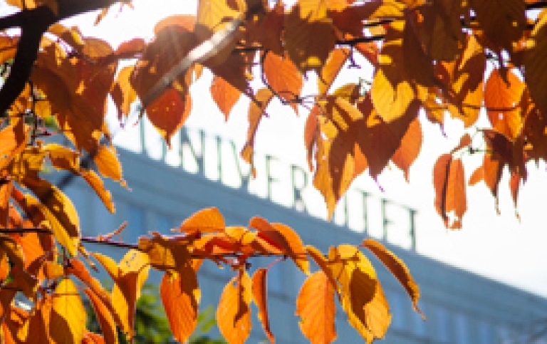 höstlöv i förgrund med Södra huset i bakgrunden