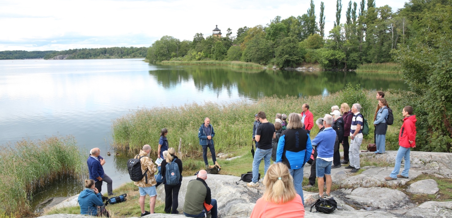 Brunnsviken guidning