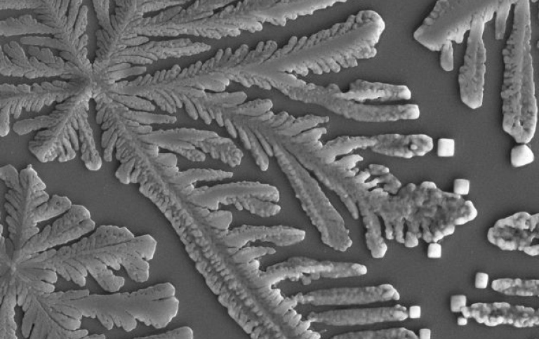 Ovalatory cervical mucus under scanning electron microscope. The sample looks like a fern pattern. 