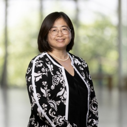 Professor Installation