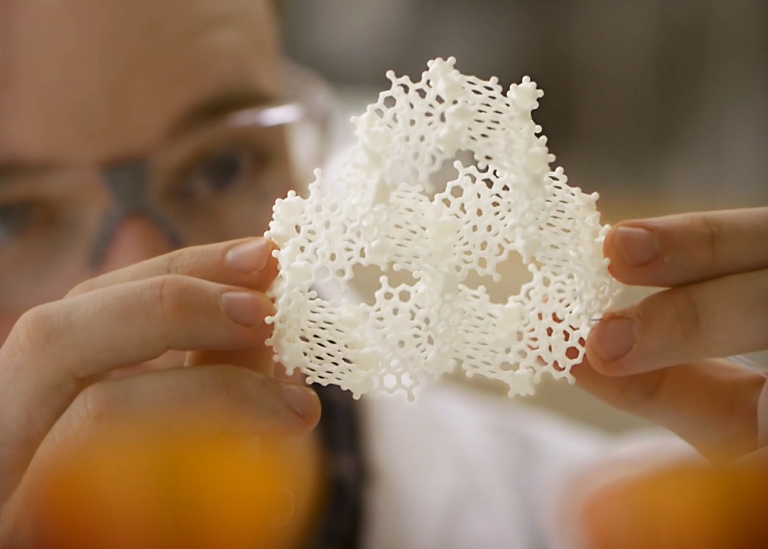 Person holding looking at a sponge-like structure