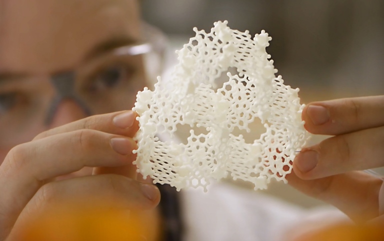 Person holding looking at a sponge-like structure