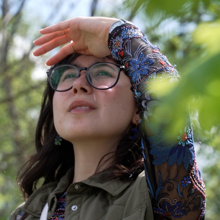 Alice - Students of SU