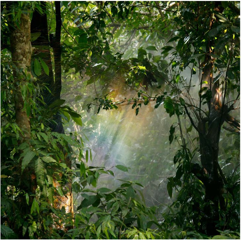 Photo: Nandhu Kumar @pexel.com