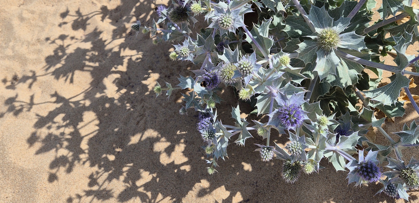 Photo: Ines Jakobsson