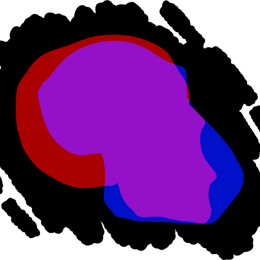 Skull, illustration in several colors.
