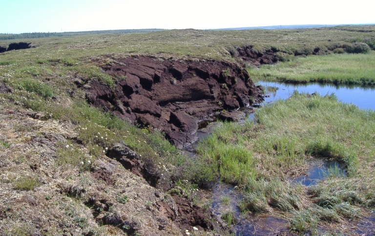 Torvmark som delvis rasat ner i en liten sjö