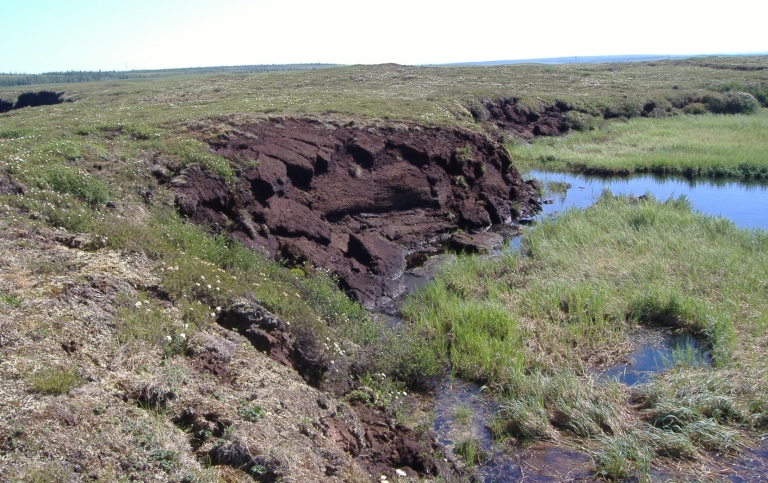 Thawing permafrost peatland tumbling down into a lake