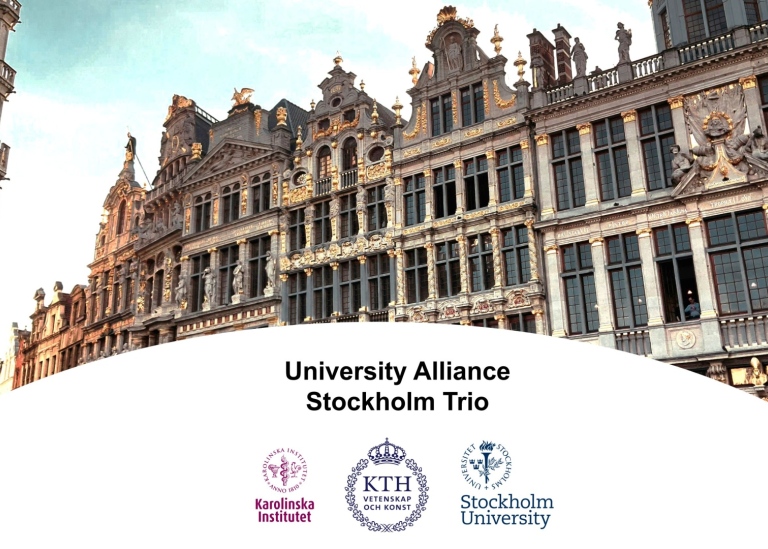 Photo of ornate historic buildings at Grand Place in Brussels, Belgium, with golden details.