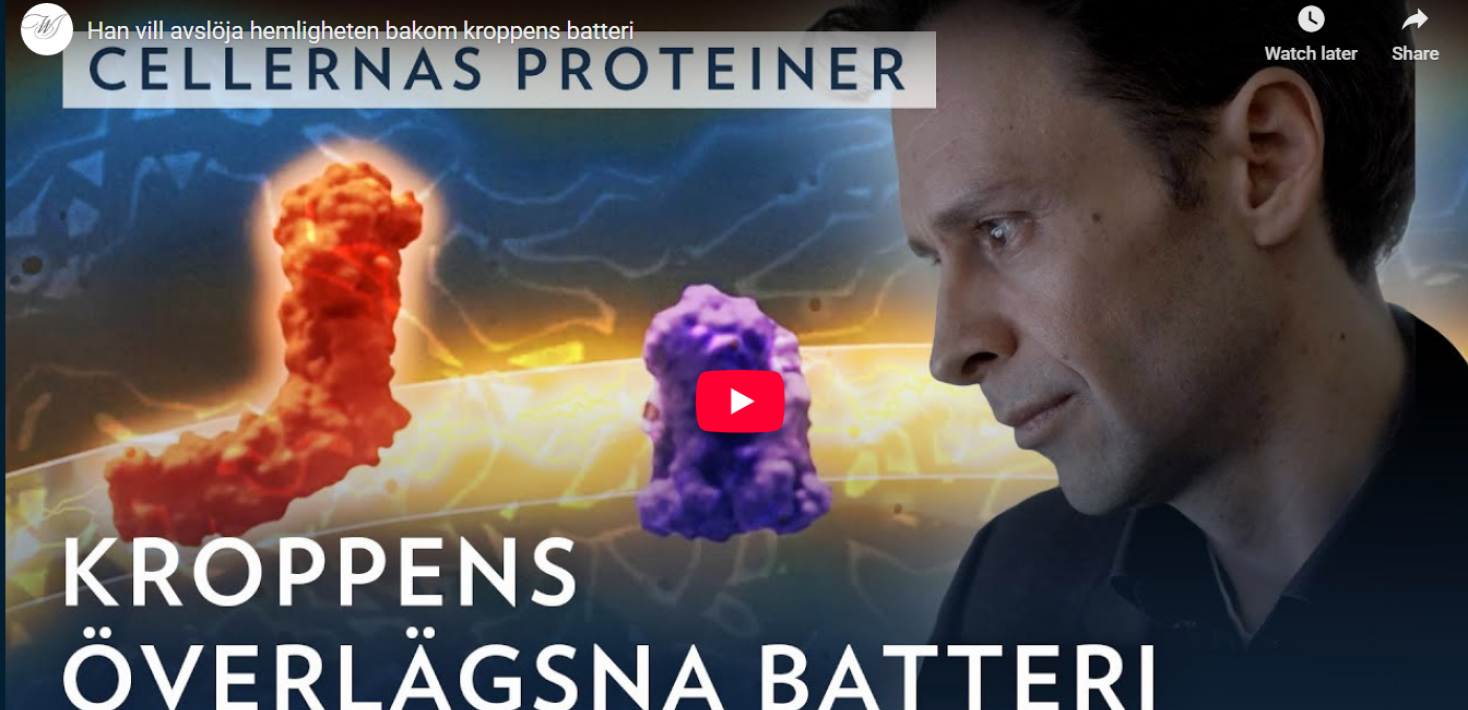 Film med Ville Kaila