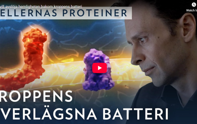 Film med Ville Kaila